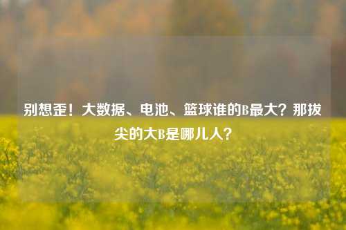 别想歪!大数据、电池、篮球谁的B最大?那拔尖的大B是哪儿人?