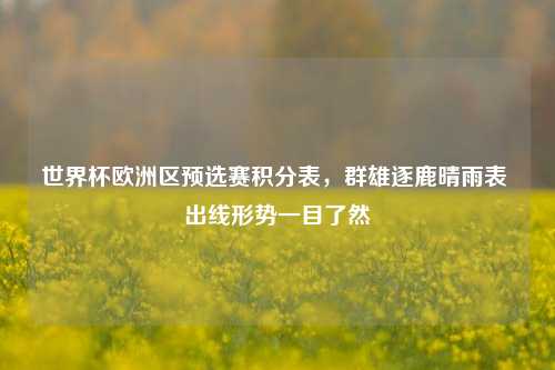 世界杯欧洲区预选赛积分表,群雄逐鹿晴雨表 出线形势一目了然