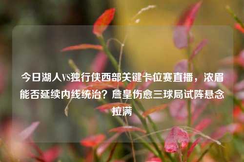 今日湖人VS独行侠西部关键卡位赛直播,浓眉能否延续内线统治?詹皇伤愈三球局试阵悬念拉满
