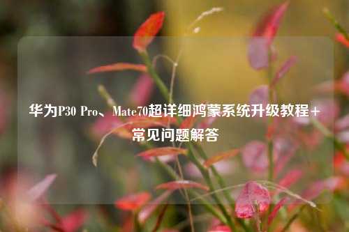 华为P30 Pro、Mate70超详细鸿蒙系统升级教程+常见问题解答