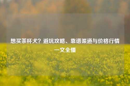 想买茶杯犬?避坑攻略、靠谱渠道与价格行情一文全懂
