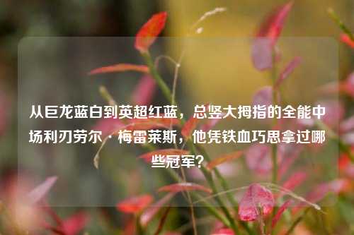 从巨龙蓝白到英超红蓝,总竖大拇指的全能中场利刃劳尔·梅雷莱斯,他凭铁血巧思拿过哪些冠军?