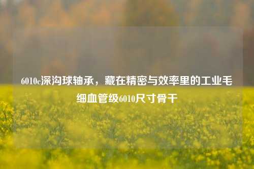 6010c深沟球轴承,藏在精密与效率里的工业毛细血管级6010尺寸骨干