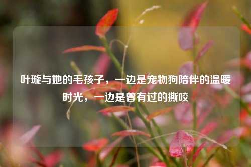 叶璇与她的毛孩子,一边是宠物狗陪伴的温暖时光,一边是曾有过的撕咬