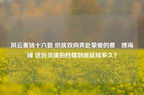风云赛场十六载 织就双向奔赴挚爱的蔡赟傅海峰 这份灵魂拍档情到底延续多久?