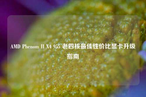 AMD Phenom II X4 955 老四核最佳性价比显卡升级指南