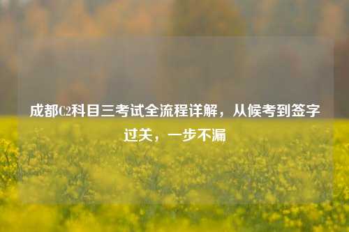 成都C2科目三考试全流程详解,从候考到签字过关,一步不漏