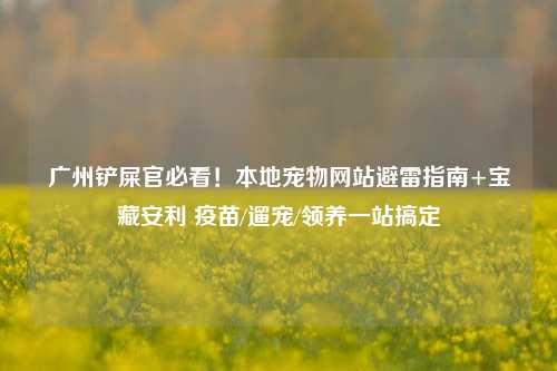 广州铲屎官必看!本地宠物网站避雷指南+宝藏安利 疫苗/遛宠/领养一站搞定
