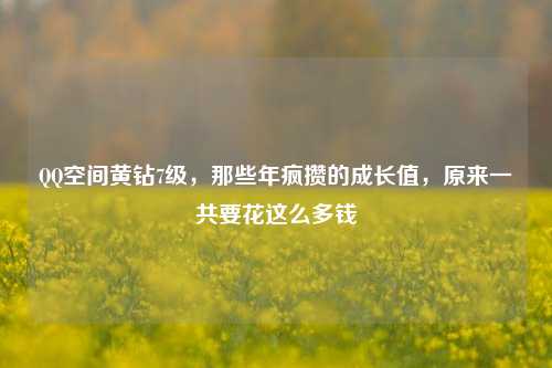 QQ空间黄钻7级,那些年疯攒的成长值,原来一共要花这么多钱
