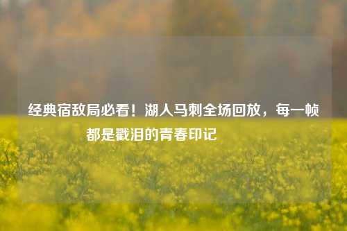 经典宿敌局必看!湖人马刺全场回放,每一帧都是戳泪的青春印记🔥