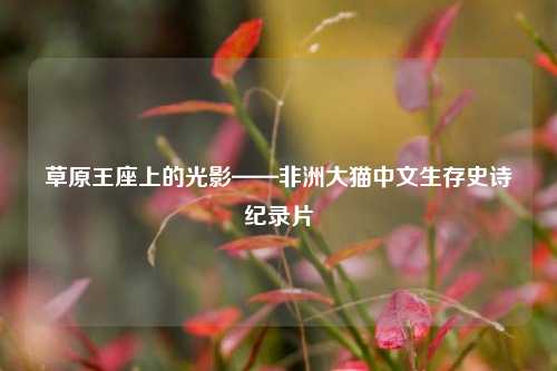 草原王座上的光影——非洲大猫中文生存史诗纪录片