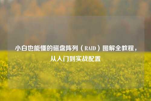 小白也能懂的磁盘阵列(RAID)图解全教程,从入门到实战配置