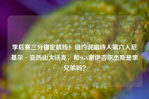 季后赛三分锚定航线!纽约说唱诗人第六人尼基尔·亚历山大沃克,和SGA谢伊吉尔杰斯是亲兄弟吗?