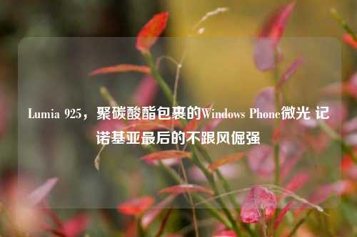 Lumia 925,聚碳酸酯包裹的Windows Phone微光 记诺基亚最后的不跟风倔强