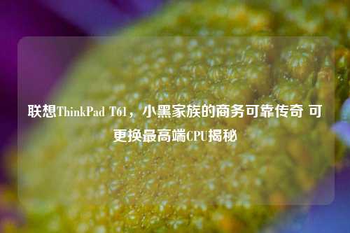 联想ThinkPad T61,小黑家族的商务可靠传奇 可更换最高端CPU揭秘