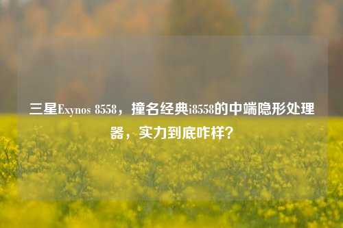 三星Exynos 8558,撞名经典i8558的中端隐形处理器,实力到底咋样?