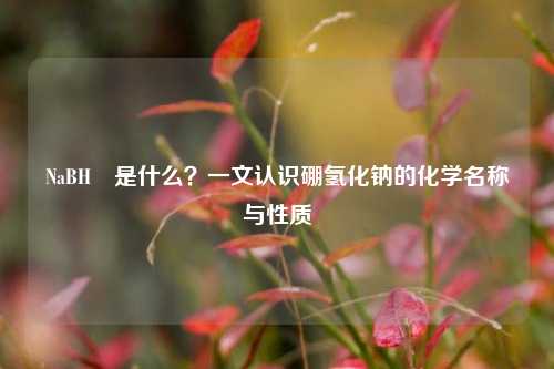 NaBH₄是什么?一文认识硼氢化钠的化学名称与性质