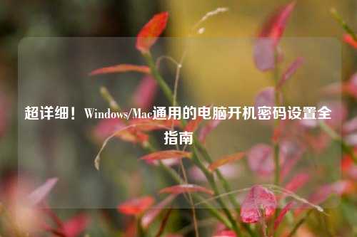 超详细!Windows/Mac通用的电脑开机密码设置全指南