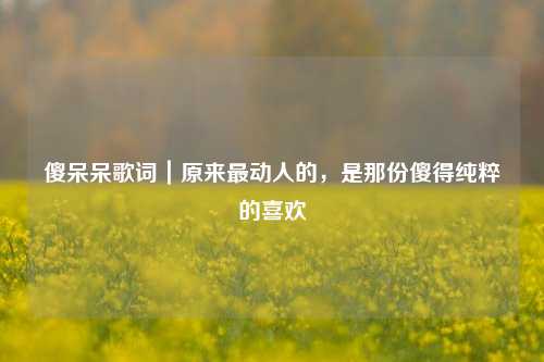 傻呆呆歌词|原来最动人的,是那份傻得纯粹的喜欢