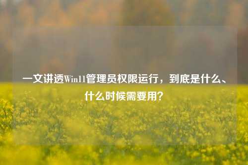 一文讲透Win11管理员权限运行,到底是什么、什么时候需要用?
