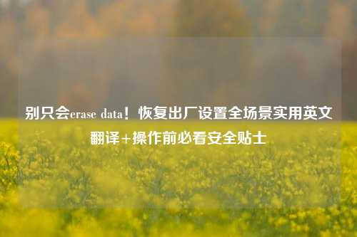 别只会erase data!恢复出厂设置全场景实用英文翻译+操作前必看安全贴士