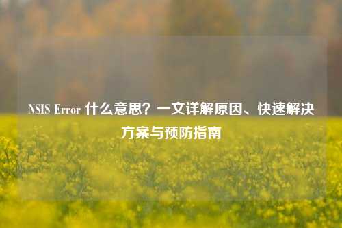 NSIS Error 什么意思?一文详解原因、快速解决方案与预防指南