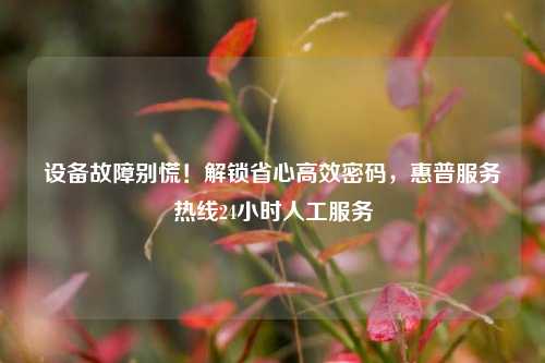 设备故障别慌!解锁省心高效密码,惠普服务热线24小时人工服务