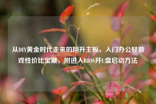 从DIY黄金时代走来的翔升主板,入门办公轻游戏性价比宝藏,附进入BIOS开U盘启动方法