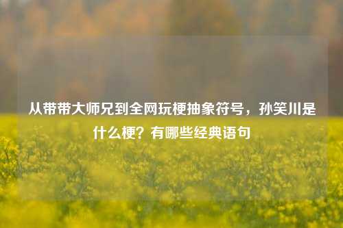从带带大师兄到全网玩梗抽象符号,孙笑川是什么梗?有哪些经典语句