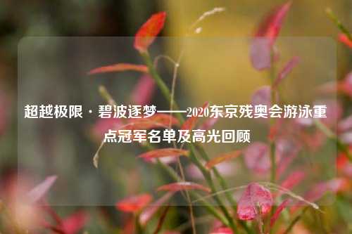 超越极限·碧波逐梦——2020东京残奥会游泳重点冠军名单及高光回顾