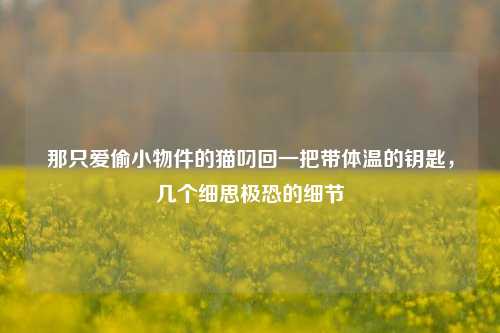 那只爱偷小物件的猫叼回一把带体温的钥匙，几个细思极恐的细节
