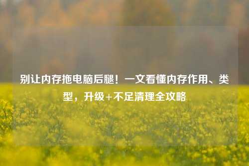 别让内存拖电脑后腿!一文看懂内存作用、类型,升级+不足清理全攻略