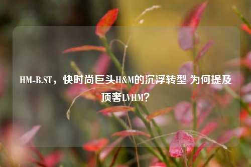 HM-B.ST,快时尚巨头H&M的沉浮转型 为何提及顶奢LVHM?