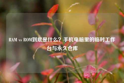 RAM vs ROM到底是什么?手机电脑里的临时工作台与永久仓库