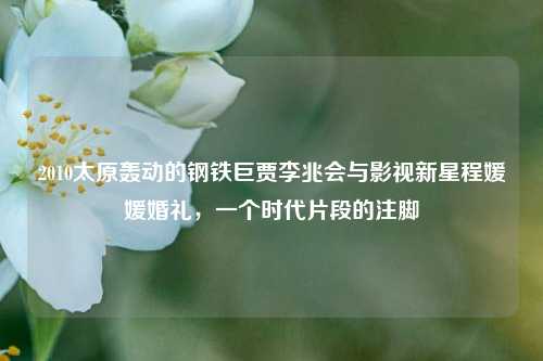 2010太原轰动的钢铁巨贾李兆会与影视新星程媛媛婚礼,一个时代片段的注脚