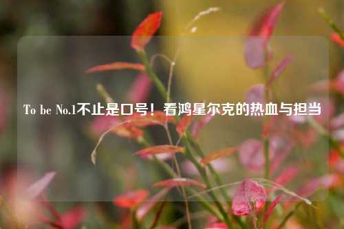 To be No.1不止是口号!看鸿星尔克的热血与担当