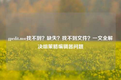 gpedit.msc找不到?缺失?找不到文件?一文全解决组策略编辑器问题