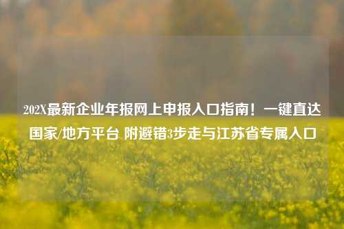 202X最新企业年报网上申报入口指南!一键直达国家/地方平台 附避错3步走与江苏省专属入口