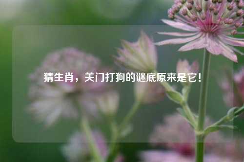 猜生肖，关门打狗的谜底原来是它！