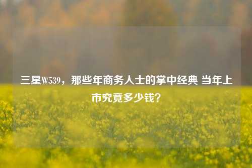 三星W539,那些年商务人士的掌中经典 当年上市究竟多少钱?