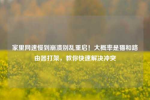 家里网速慢到崩溃别乱重启!大概率是猫和路由器打架,教你快速解决冲突