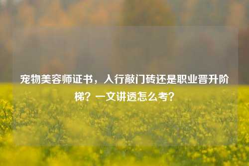 宠物美容师证书,入行敲门砖还是职业晋升阶梯?一文讲透怎么考?