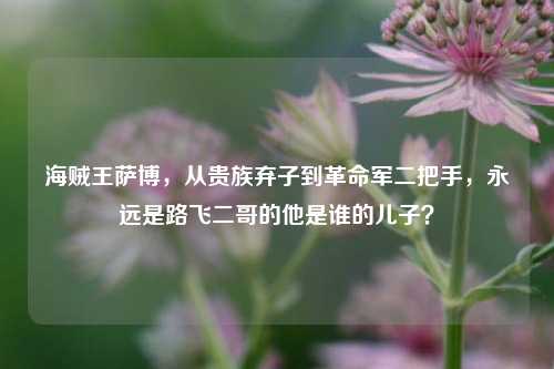 海贼王萨博,从贵族弃子到革命军二把手,永远是路飞二哥的他是谁的儿子?