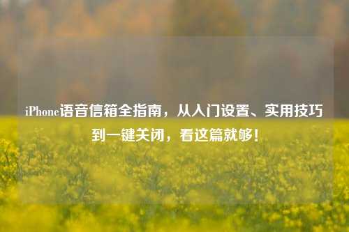 iPhone语音信箱全指南,从入门设置、实用技巧到一键关闭,看这篇就够!