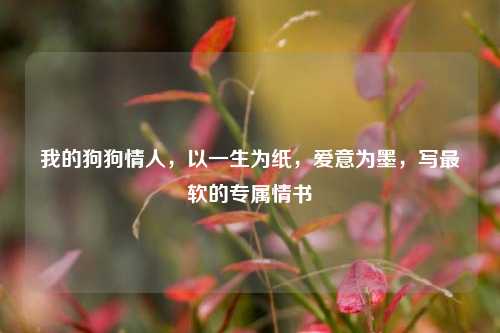我的狗狗情人,以一生为纸,爱意为墨,写最软的专属情书