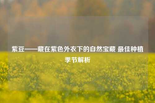 紫豆——藏在紫色外衣下的自然宝藏 最佳种植季节解析