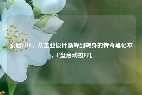 索尼VAIO,从工业设计巅峰到转身的传奇笔记本,U盘启动按F几