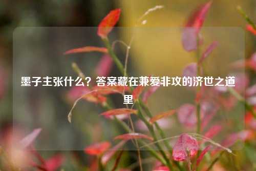 墨子主张什么?答案藏在兼爱非攻的济世之道里