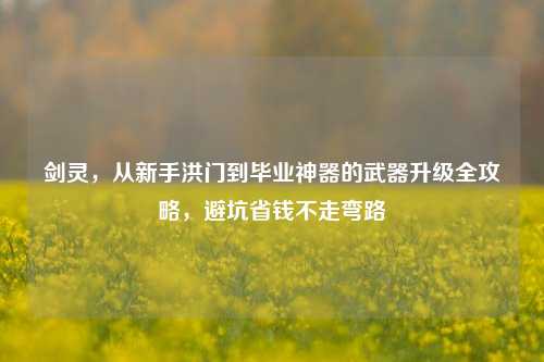 剑灵,从新手洪门到毕业神器的武器升级全攻略,避坑省钱不走弯路
