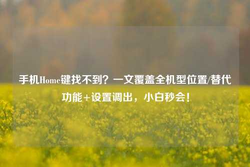 手机Home键找不到?一文覆盖全机型位置/替代功能+设置调出,小白秒会!